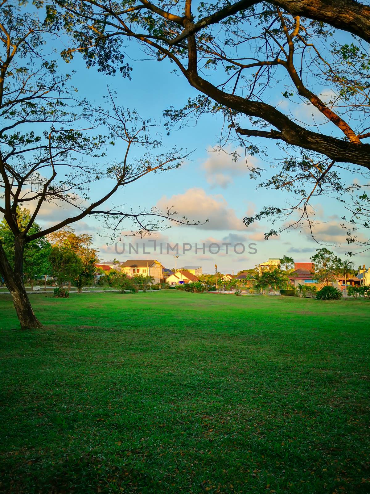 The beautiful summer landscape with a home and green garden  by feelartfeelant