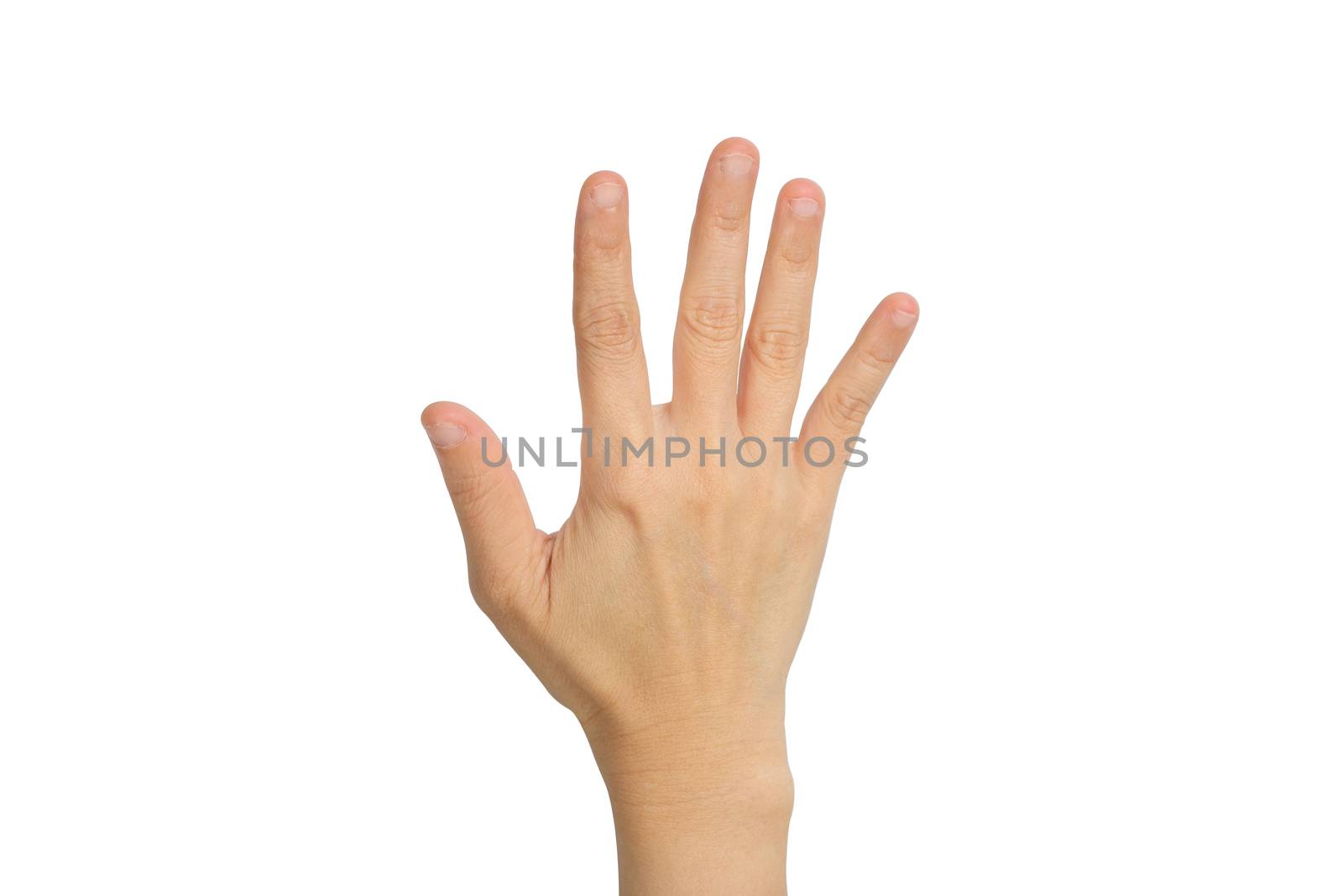 hand showing the five fingers isolated on a white background