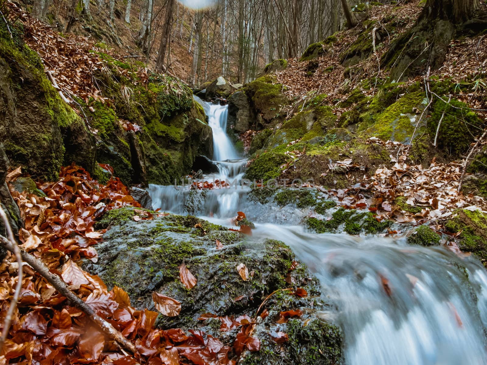 Small Waterfall in deep forest by Roberto