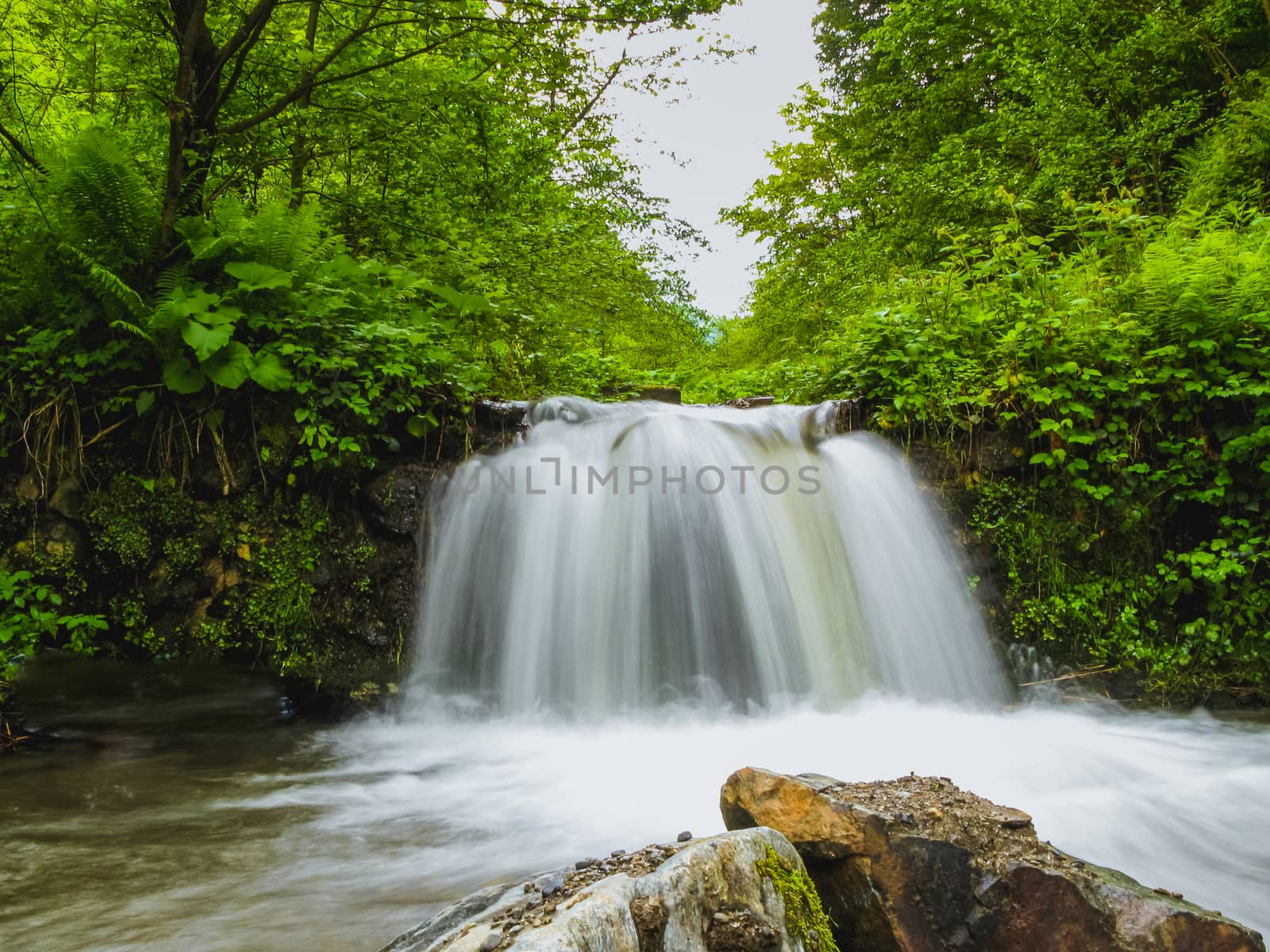 Small Waterfall in deep forest by Roberto