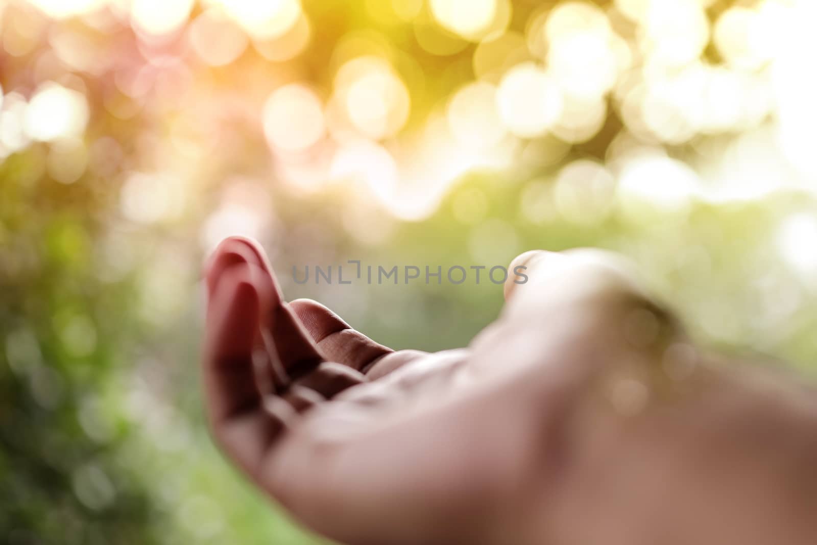 Life Concept. Opened Hand in front of the Natural Light in the Morning. Blurred Tree and Sun Flare as background. Selective Focus