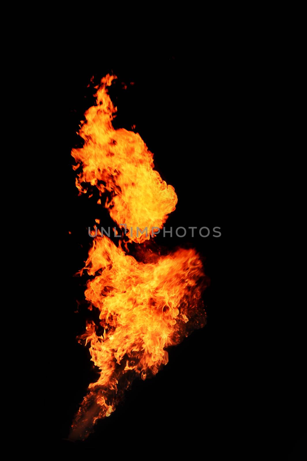 fire burning isolated with black background