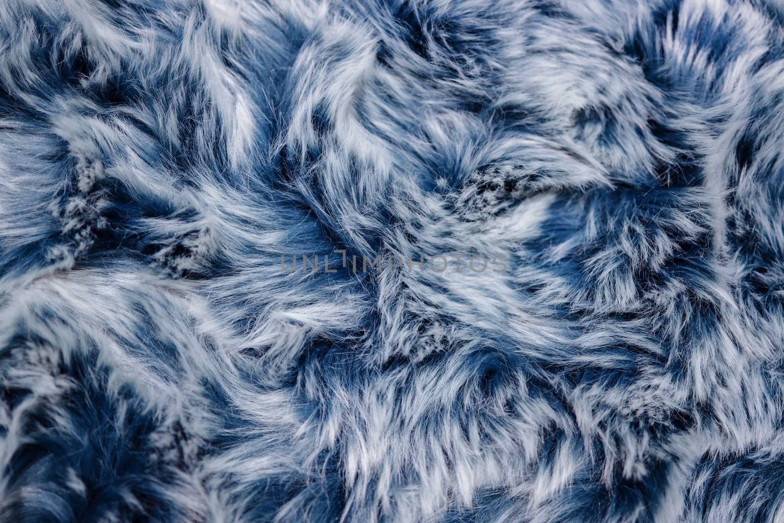Closeup of Blue Fur Texture. Smooth Fluffy and Softness Backgrou by Black-Salmon