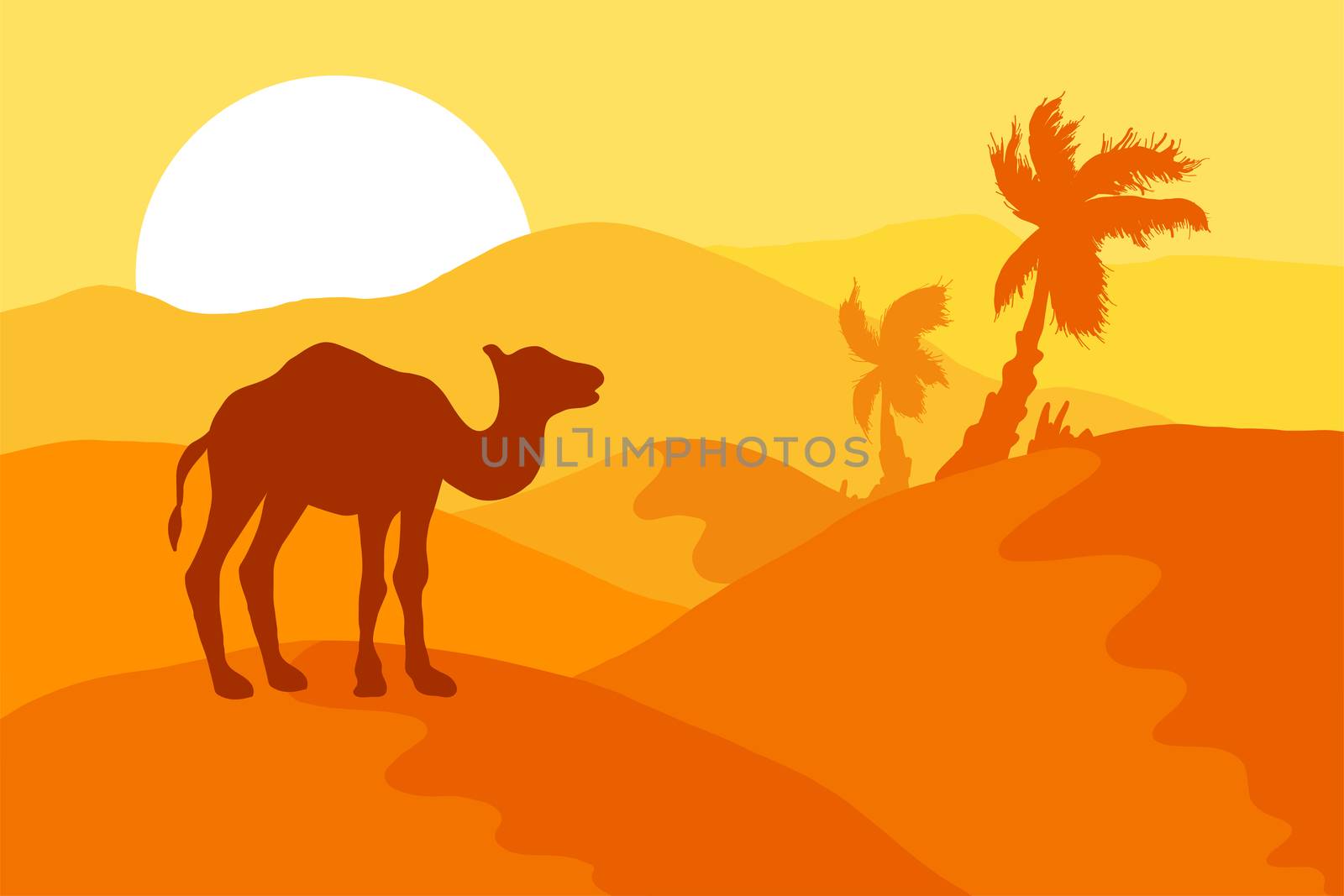 Desert landscape with camel, palm trees and sun. Vector