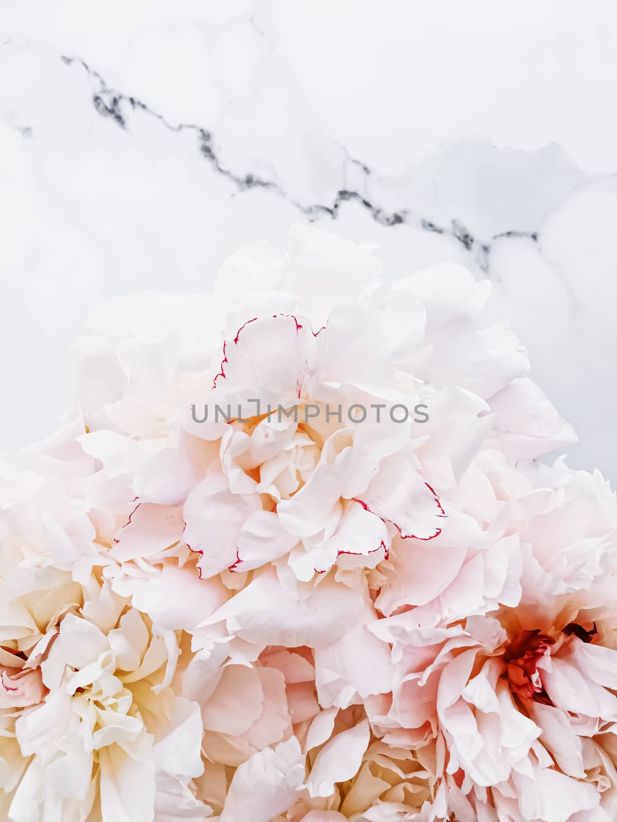 Bouquet of peony flowers on luxury marble background, wedding flatlay and event branding by Anneleven