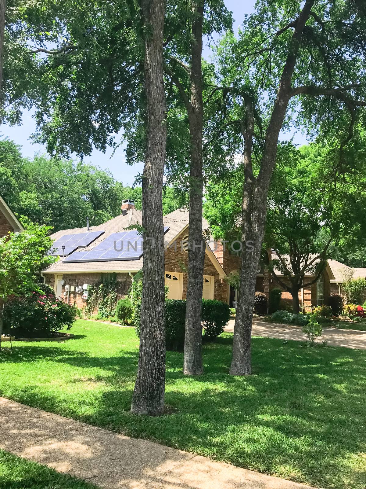 Shady concrete sidewalk pathway in residential neighborhood outside of Dallas, Texas, America. Row of single family houses surrounded by tall trees and solar panel roof.