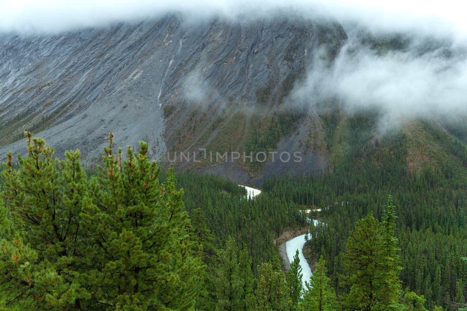 Mistaya Canyon on a foggy day showing turquoise river, Alberta, Canada