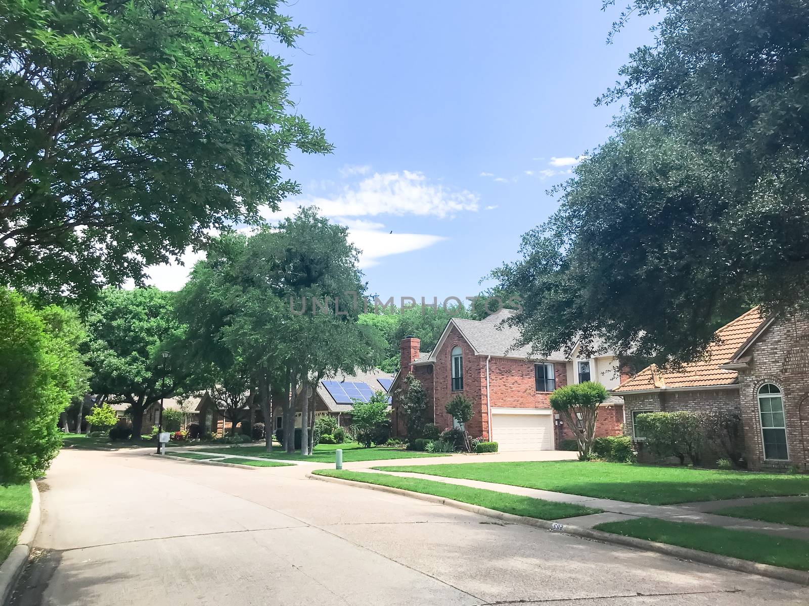 Clean and green residential street with row of upscale house and solar panel roof surrounded by tall trees near Dallas, Texas, USA by trongnguyen