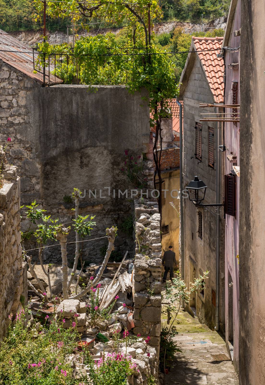 Rustic homes in Croatian town of Novigrad in Istria County by steheap