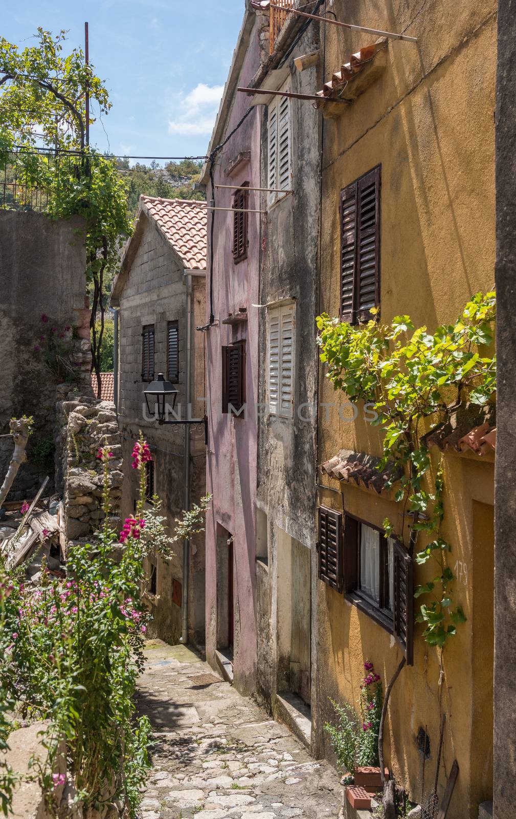 Narrow street with rustic houses and homes in the coastal town of Novigrad in Croatia