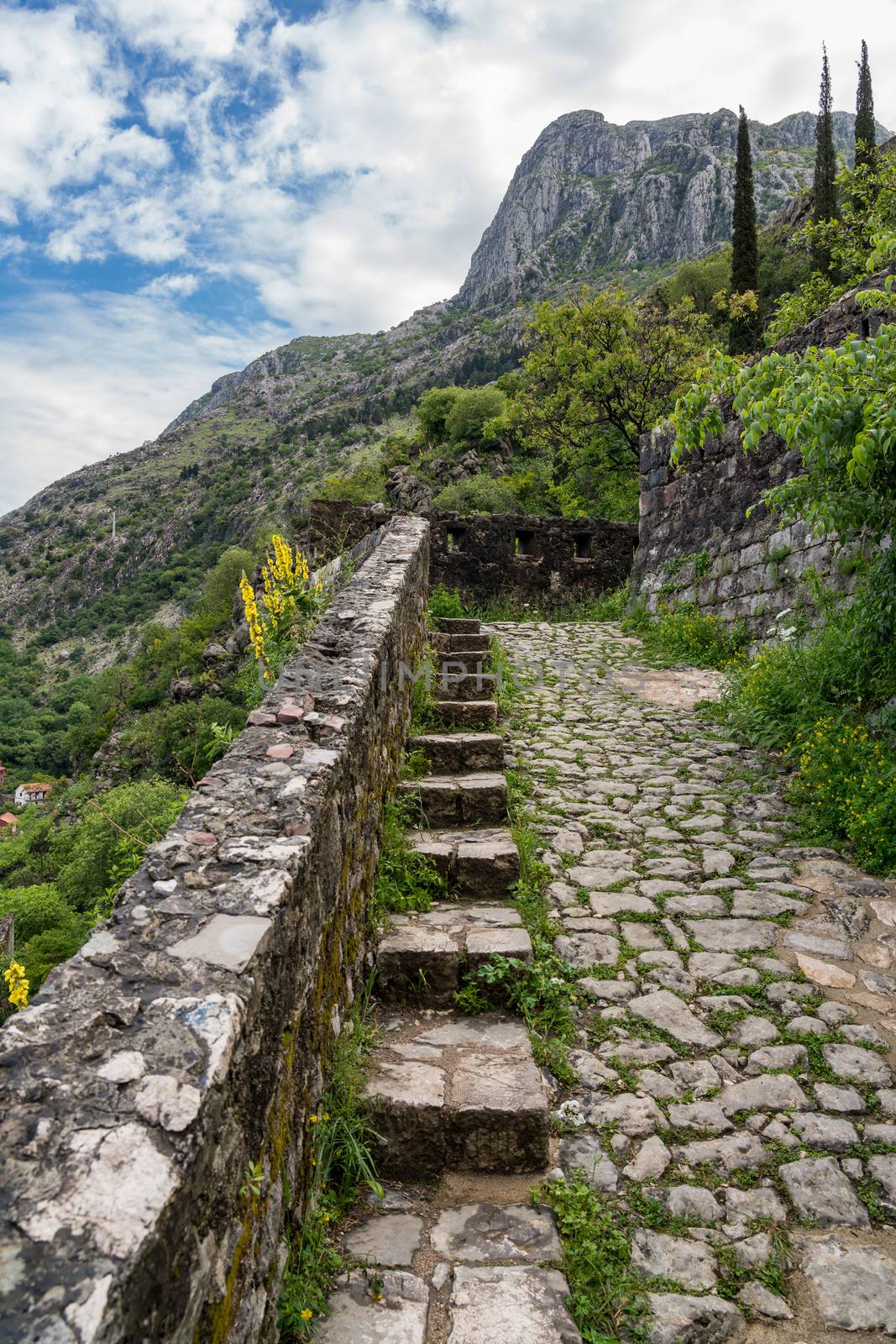 Step path to castle above Old Town of Kotor in Montenegro by steheap