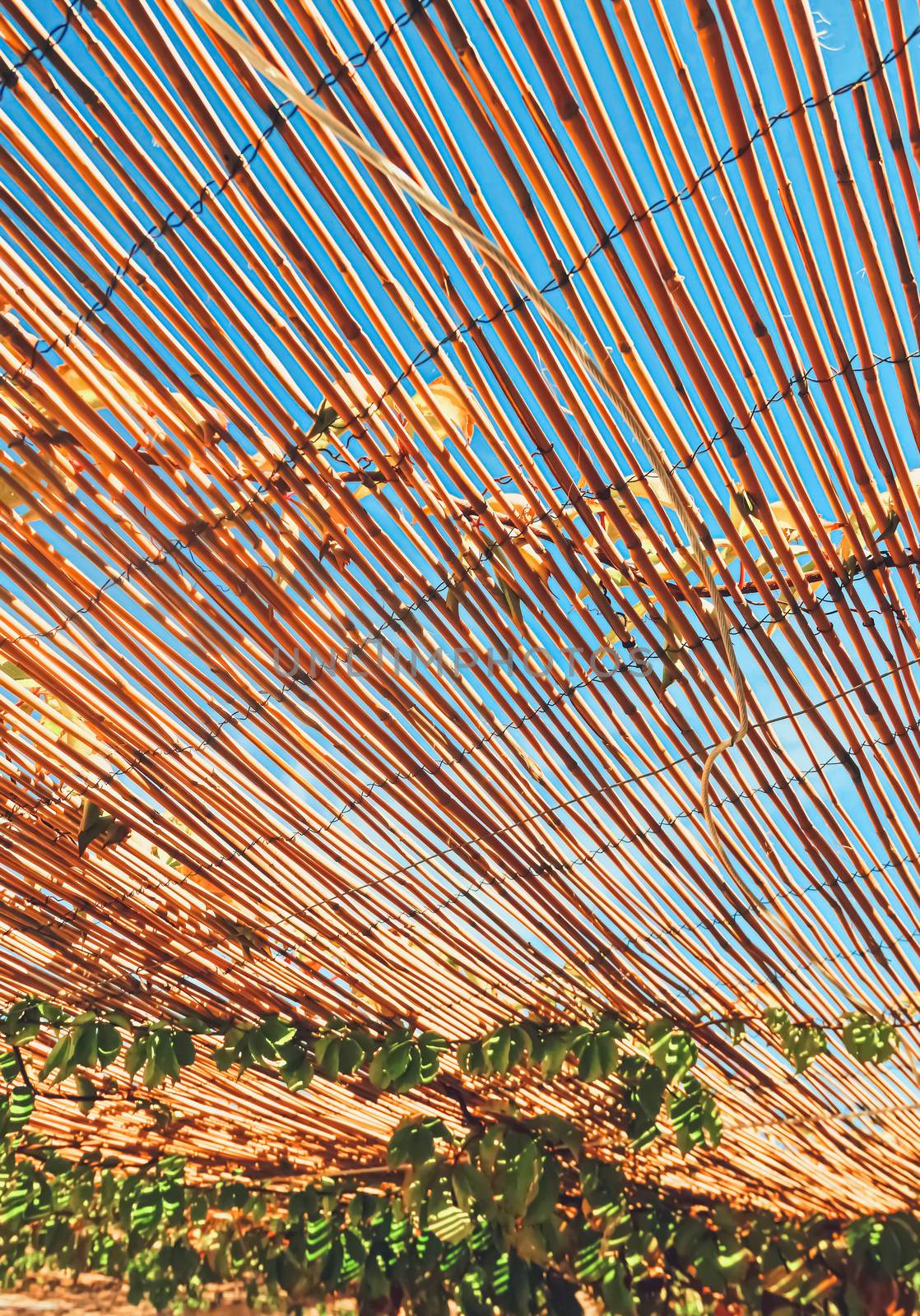 Wooden roof on the beach, nature and design