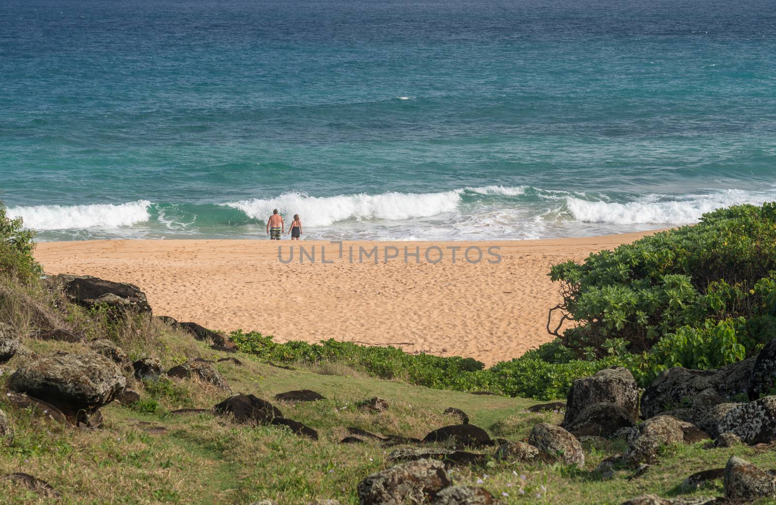 Tourists on Donkey Beach in Kauai by steheap