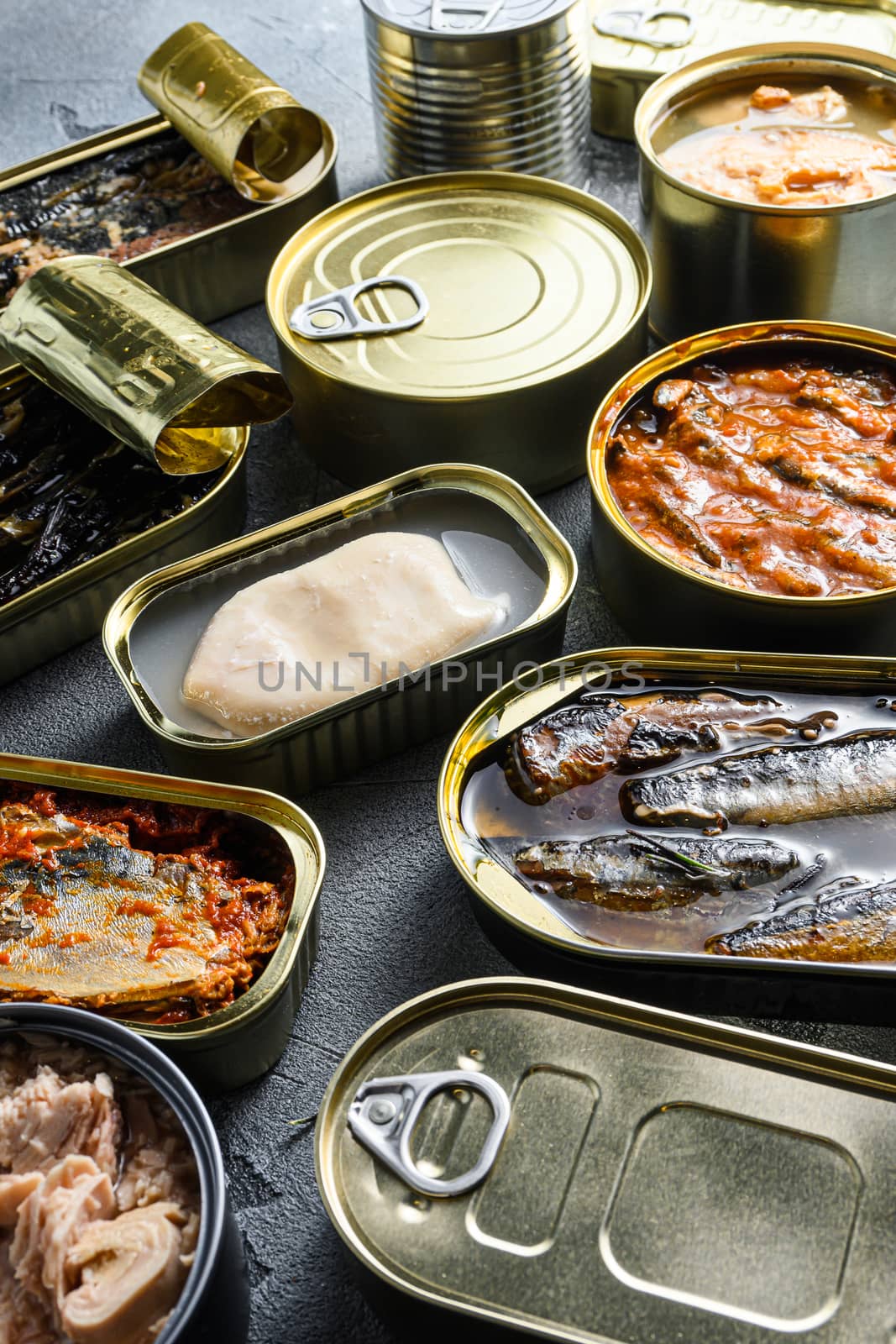 Conserves of canned fish with different types of fish and seafood, opened and closed cans with Saury, mackerel, sprats, sardines, pilchard, squid, tuna, over grey stone surface, side view.