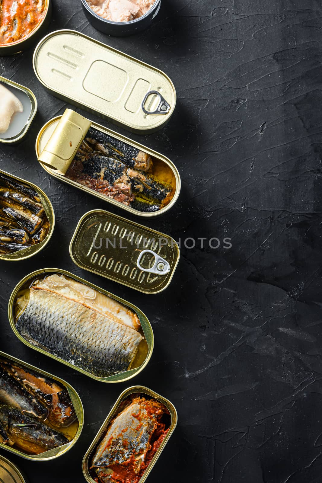 Saury, mackerel, sprats, sardines, pilchard, squid, tuna, Canned fish in tin cans. Open and closed over black slate background top view space for text vertical concept.