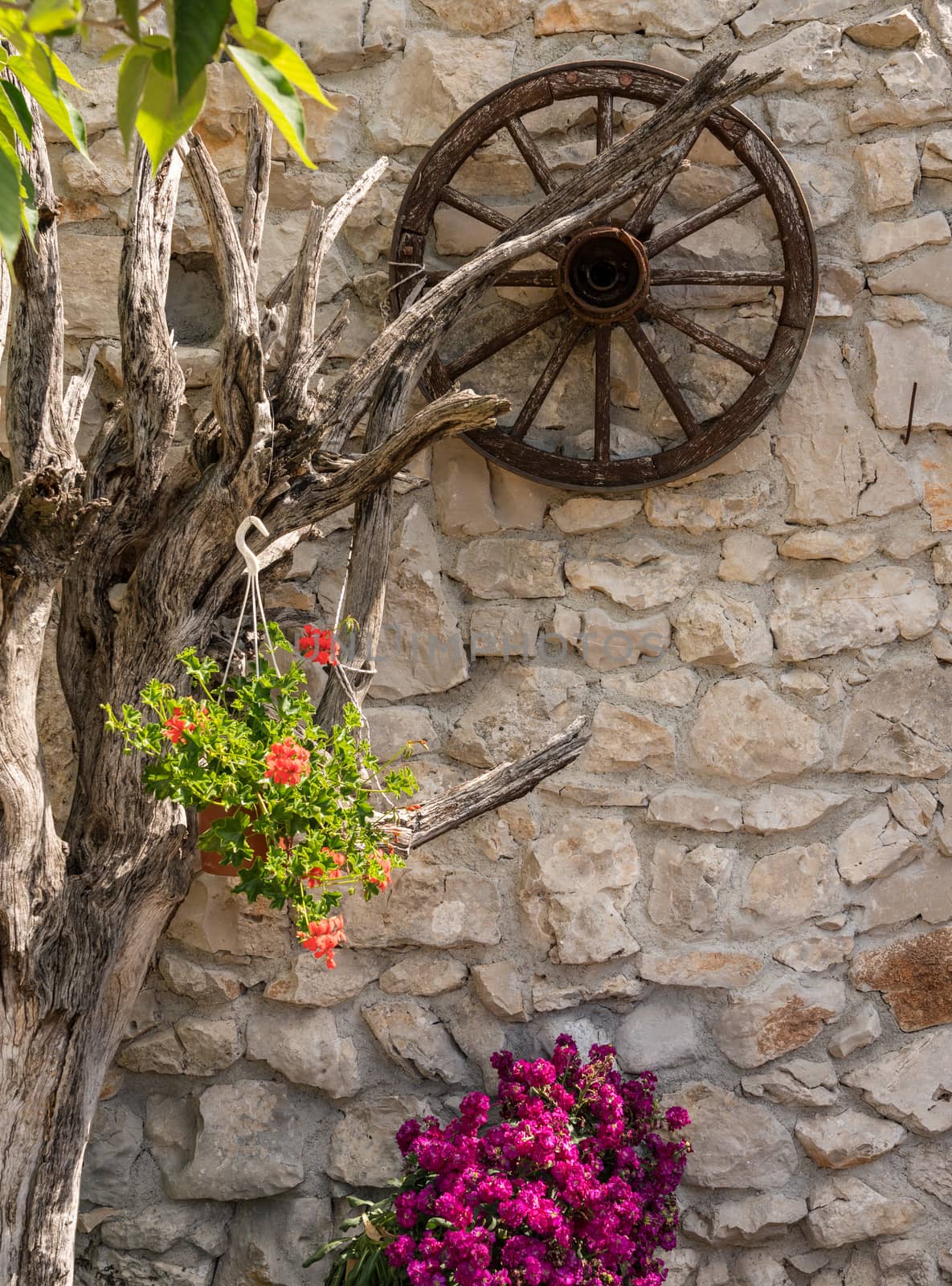 Dead tree branches and cartwheel on stone farmhouse wall with red geranium flowers