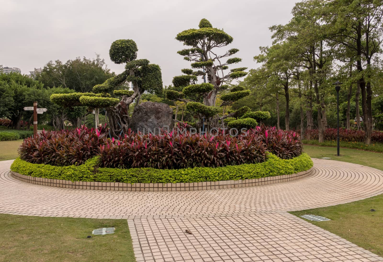 Ornamental trees and bushes being carved into shape in Bailuzhou Park, Xiamen