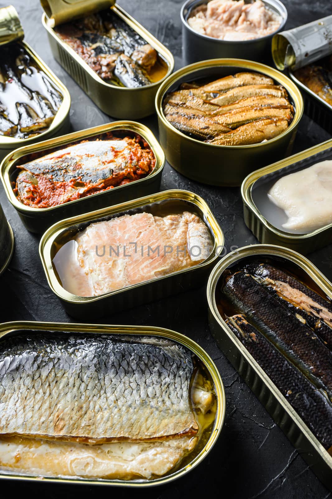 Tin can of Saury, mackerel, sprats, sardines, pilchard, squid, tuna Open and closed over black slate background side view close up vertical by Ilianesolenyi