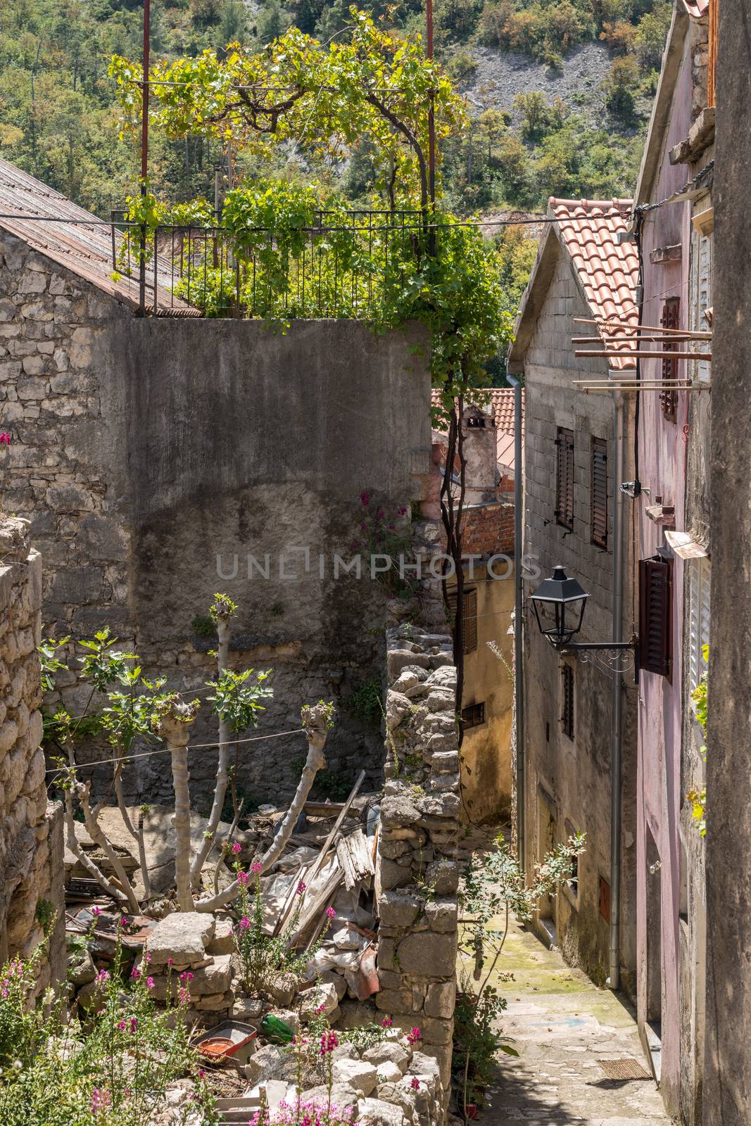 Narrow street with rustic houses and homes in the coastal town of Novigrad in Croatia