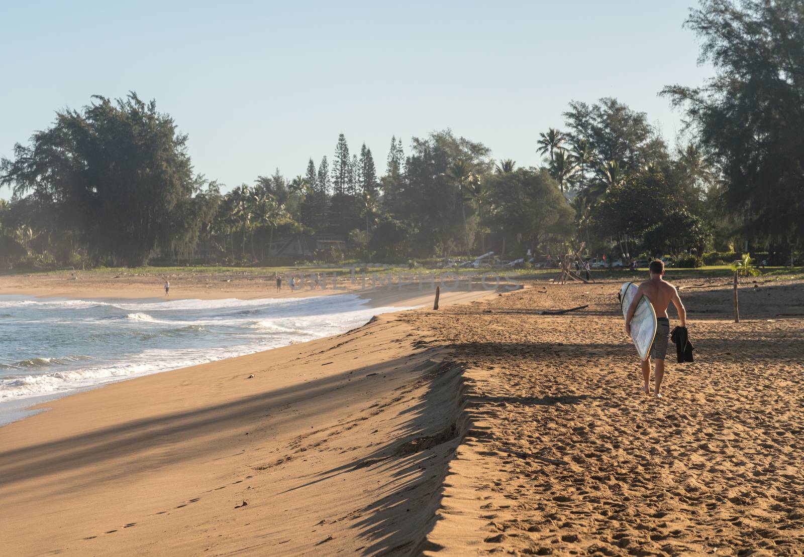 Backlit man carrying surf board across the sandy beach to the ocean in Kauai Hawaii
