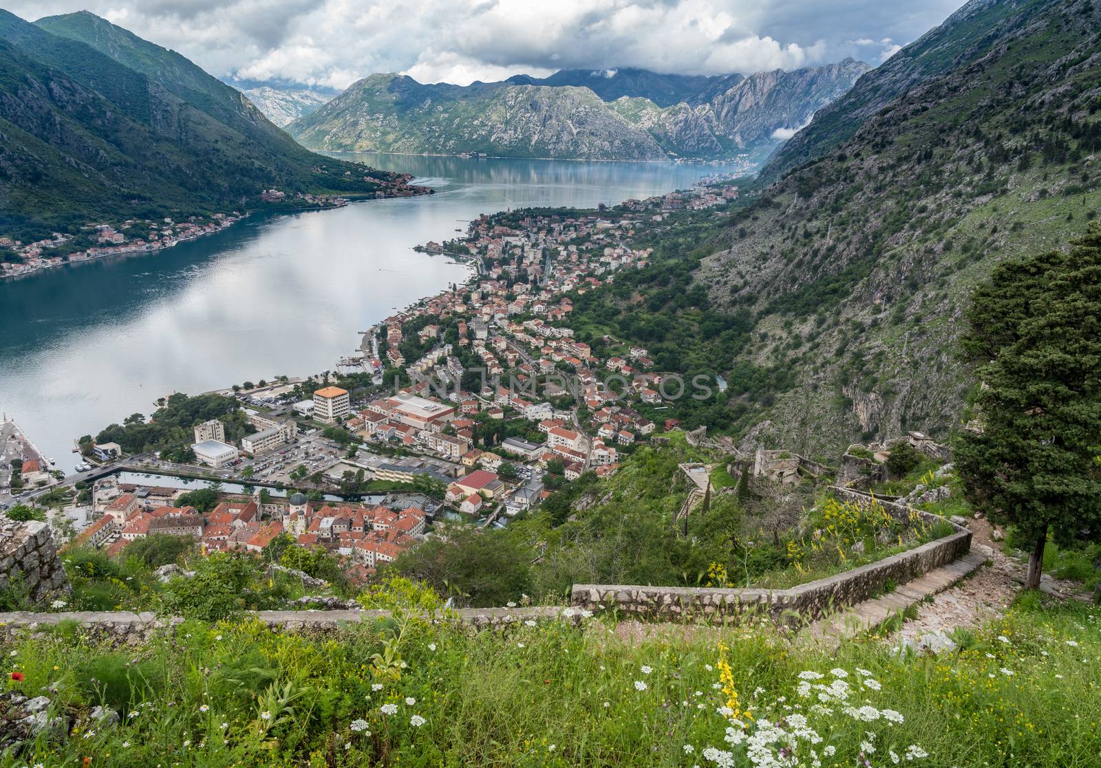 Aerial view of Dobrota and Kotor from hike to Fortress