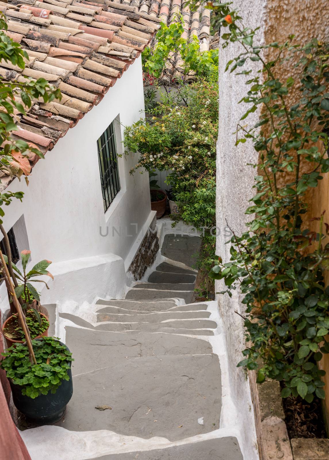 Narrow street in ancient residential district of Anafiotika in Athens Greece by steheap