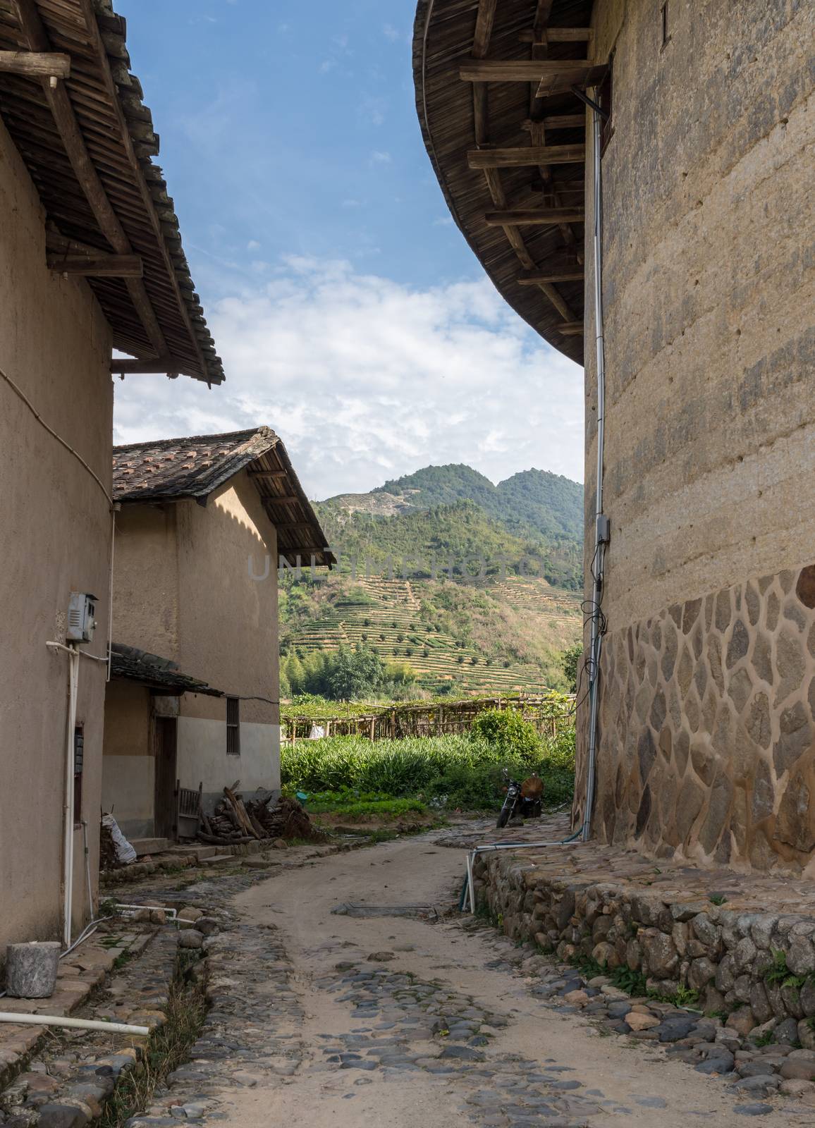 Tea plantations around Tulou at Unesco heritage site near Xiamen