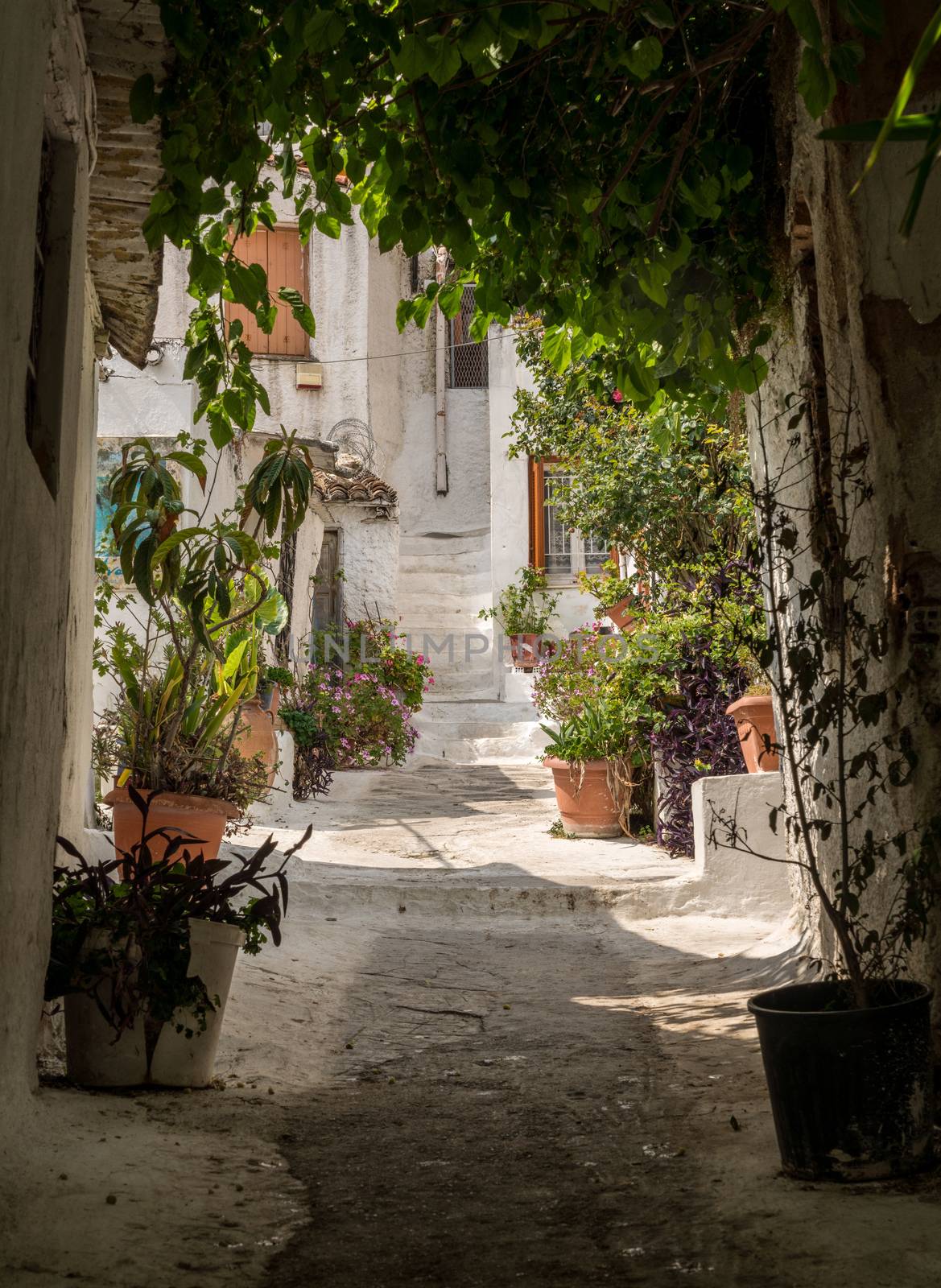 Narrow street in ancient residential district of Anafiotika in Athens Greece by steheap