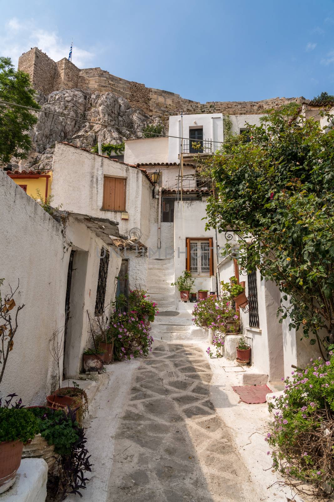 Narrow street in ancient residential district of Anafiotika in Athens Greece by steheap