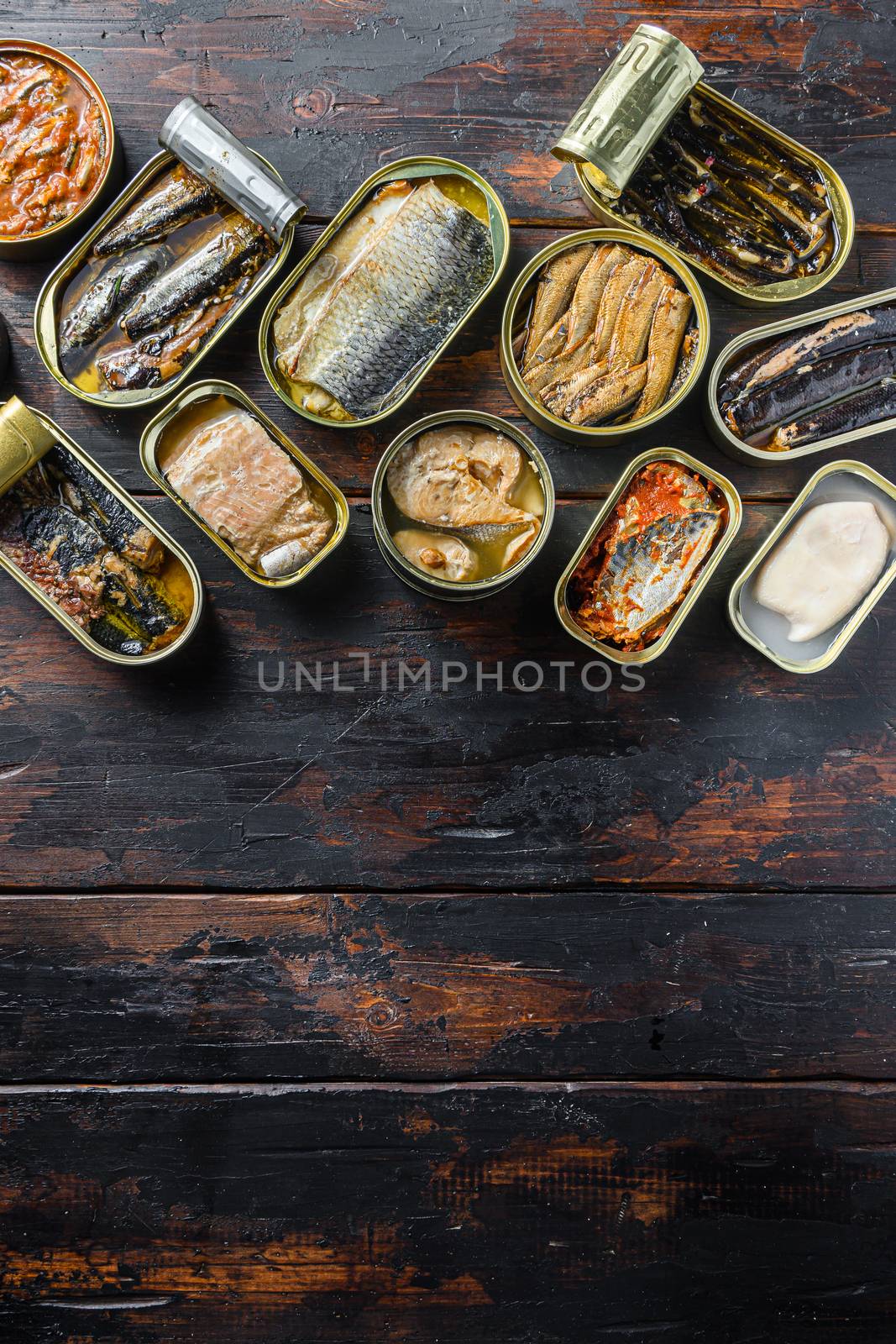 opened cans conserve with Saury, mackerel, sprats, sardines, pilchard, squid, tuna over wood table top view vertical space for text by Ilianesolenyi