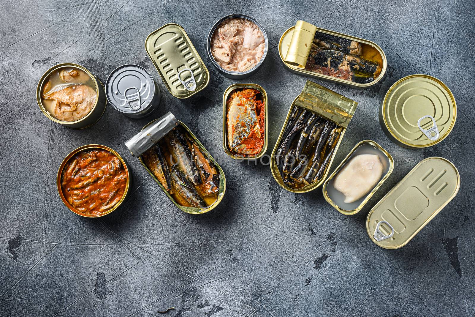 Conserves of canned fish with different types of fish and seafood, opened and closed cans with Saury, mackerel, sprats, sardines, pilchard, squid, tuna, over grey stone surface, top view space for text by Ilianesolenyi