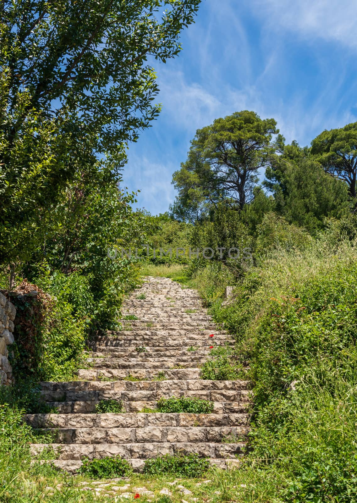 Steps leading to ruins of old Venetian fort above the coastal town of Novigrad in Croatia