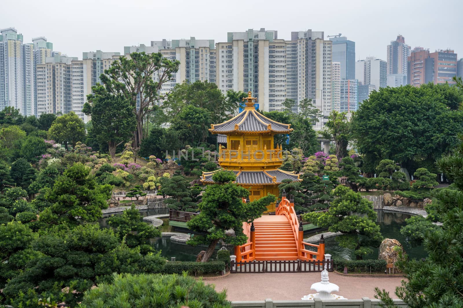 Temple in the Nan Lian Garden by Chi Lin Nunnery in Hong Kong