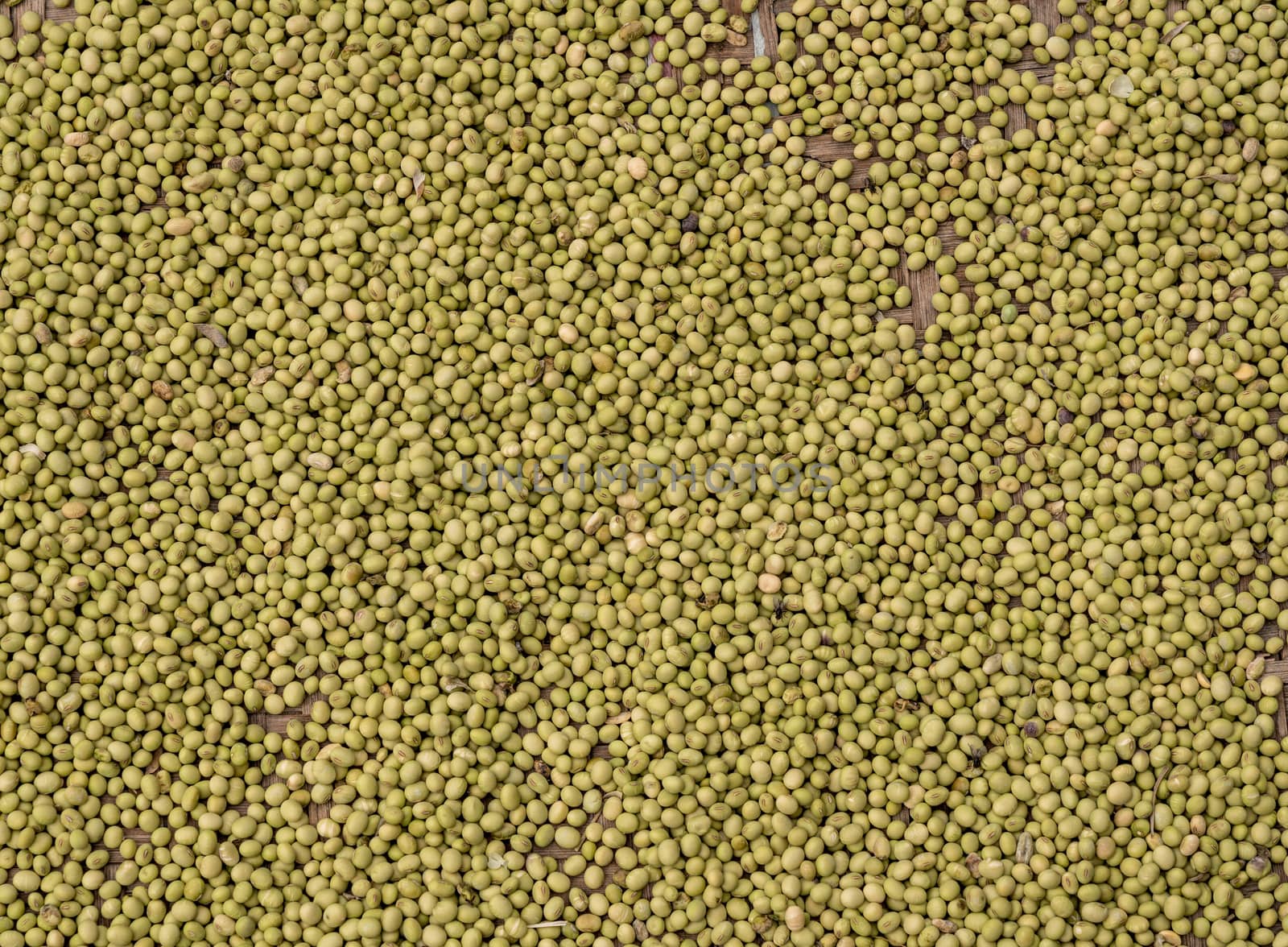 Large basket of green split peas drying inside Tulou in Fujian Province in China