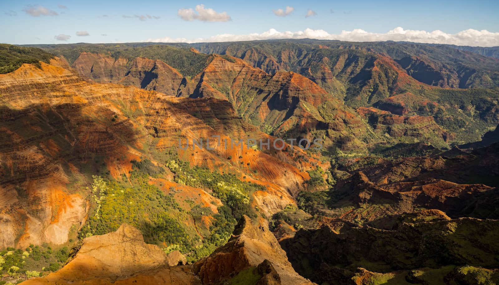Aerial view of Waipo'o waterfall and landscape of Waimea Canyon of Kauai from helicopter flight