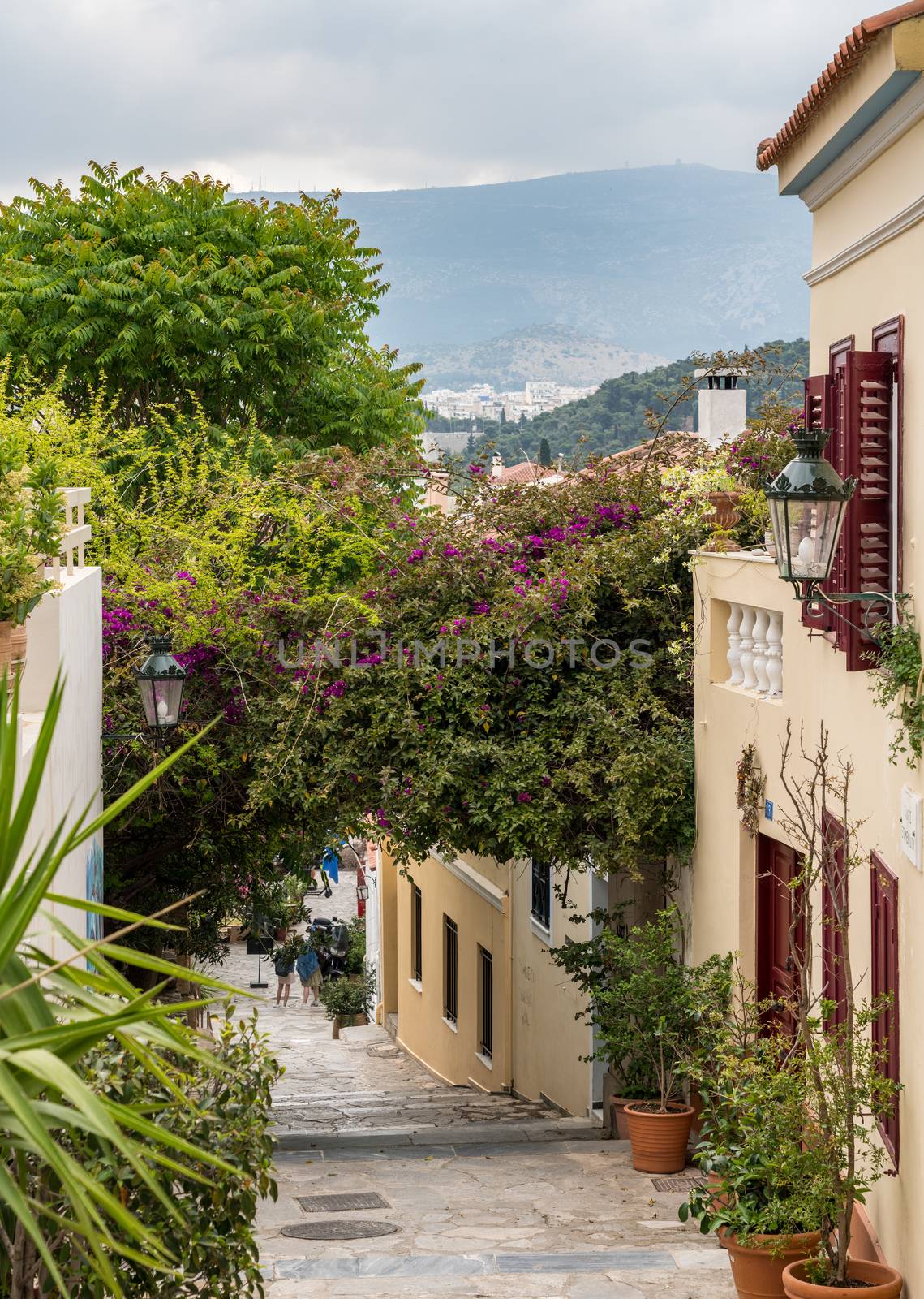 Houses in ancient residential district of Plaka in Athens Greece by steheap