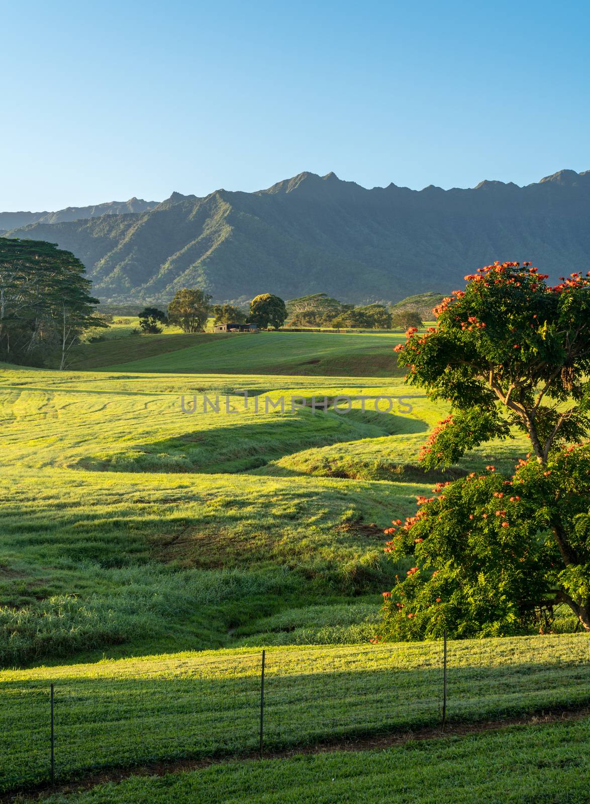 Striking landscape of Jurassic garden island of Kauai by steheap