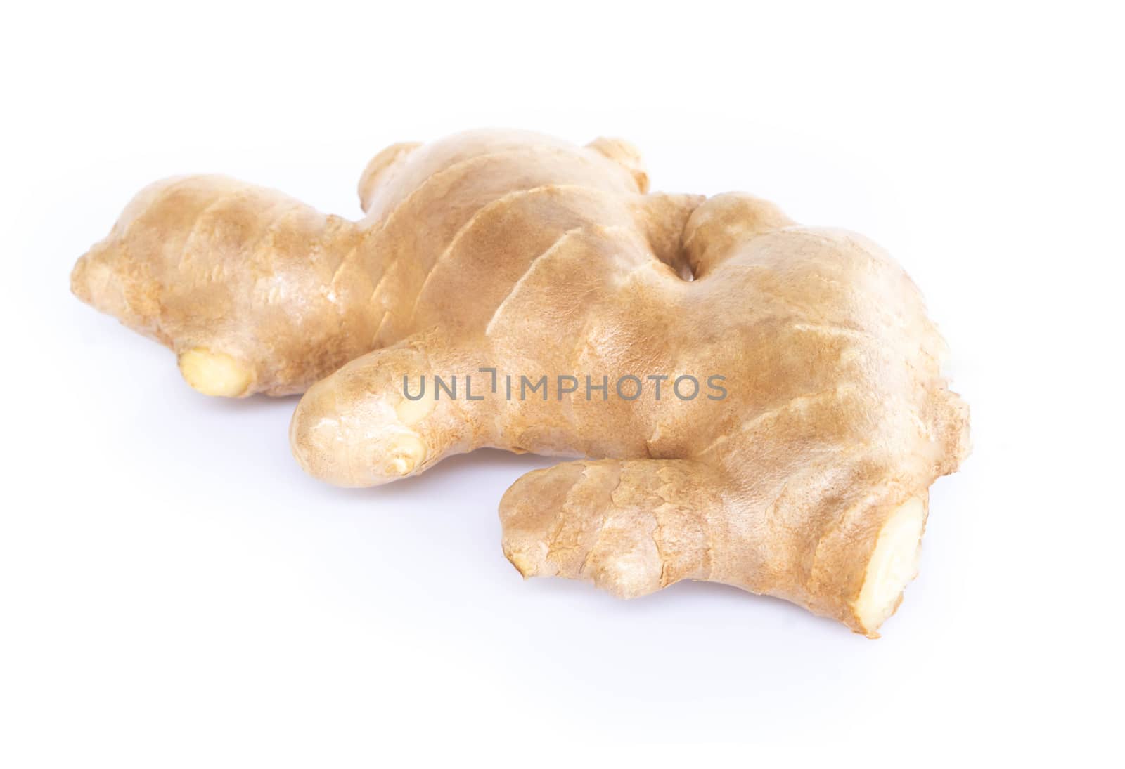Fresh ginger root with sliced islolated on white background for herb and medical product concept