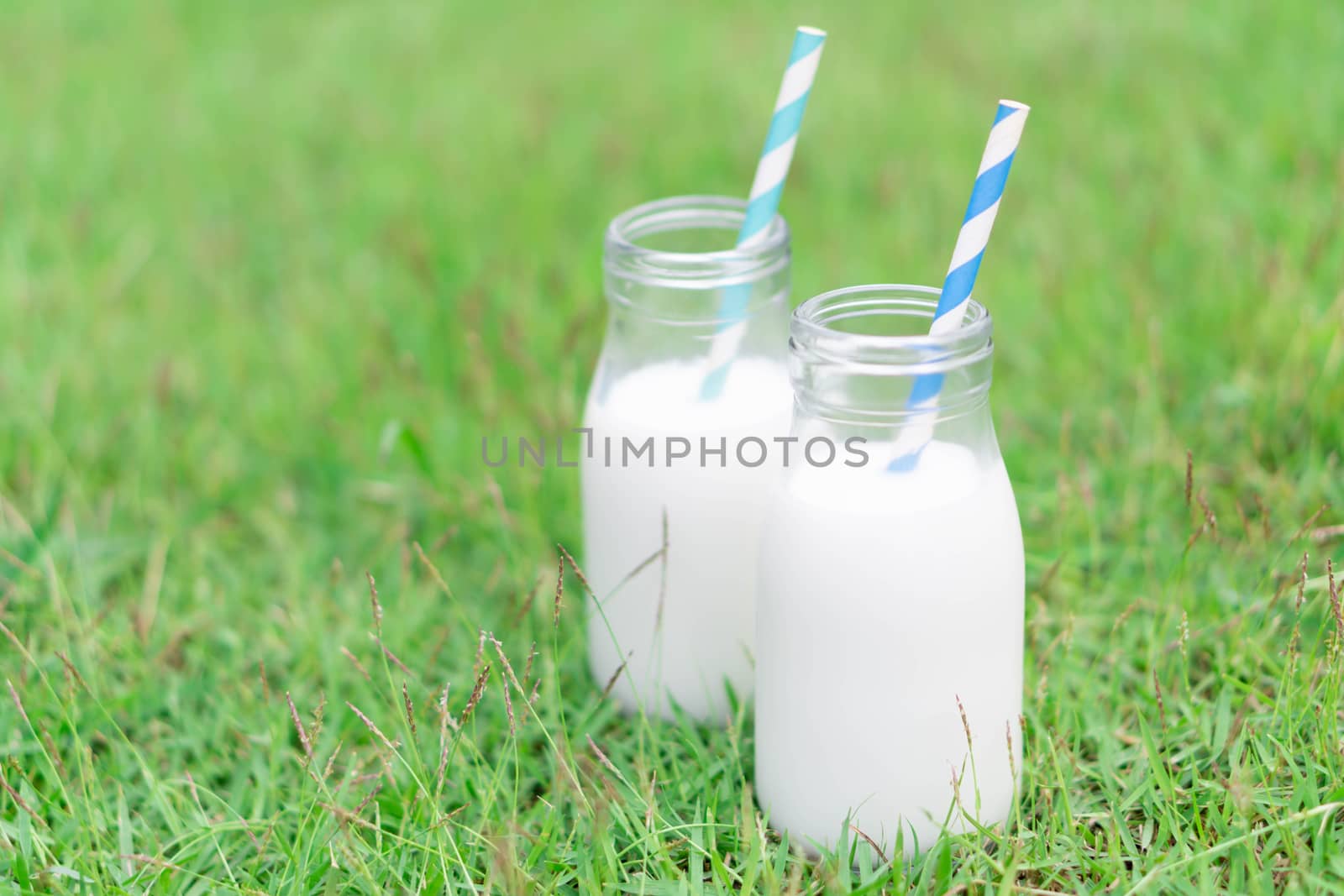 Closeup glass bottle of milk on green grass nature background, food healthy concept