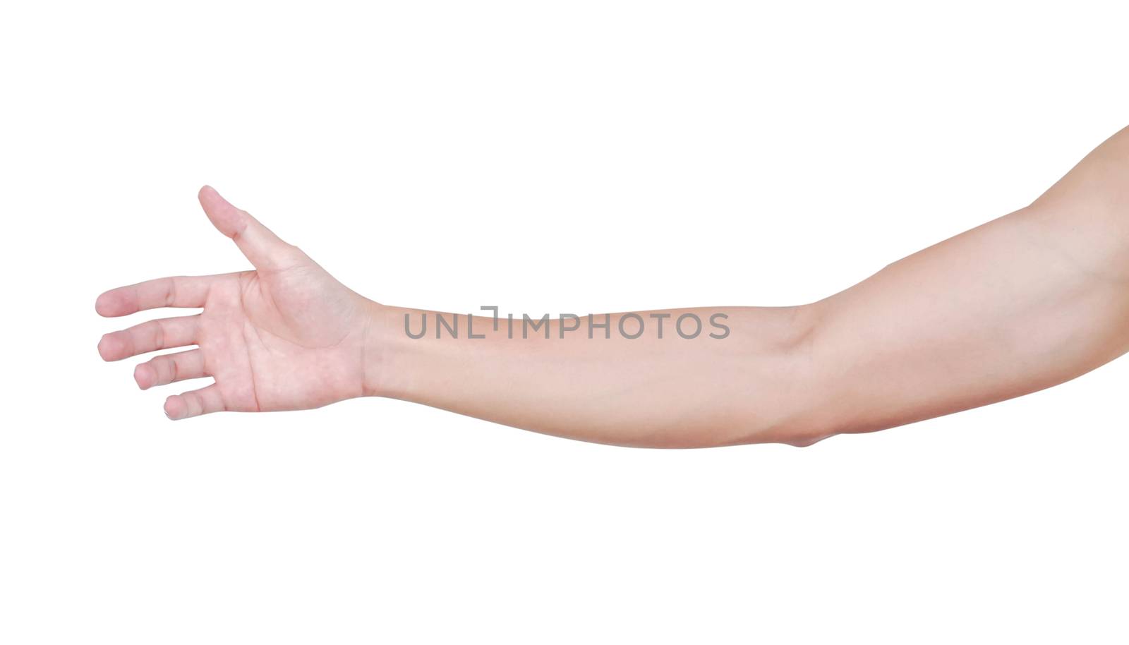 Man arm with blood veins on white background, health care and medical concept