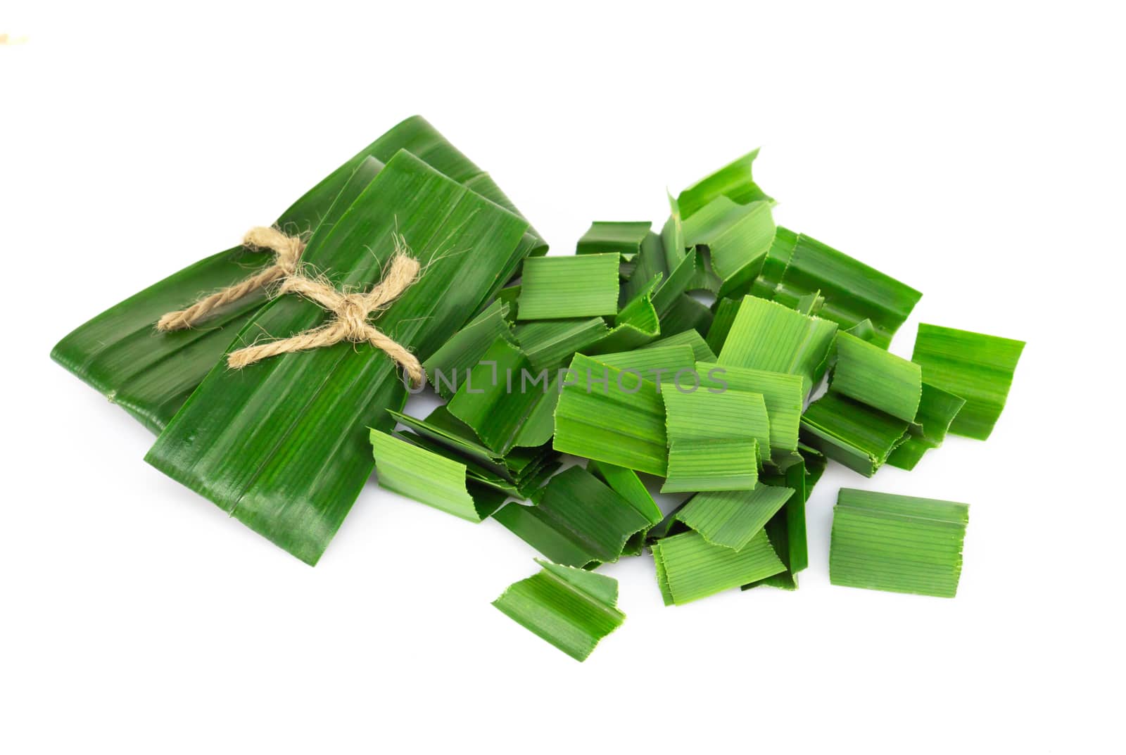 Fresh green pandan leaves with slice isolated on white background