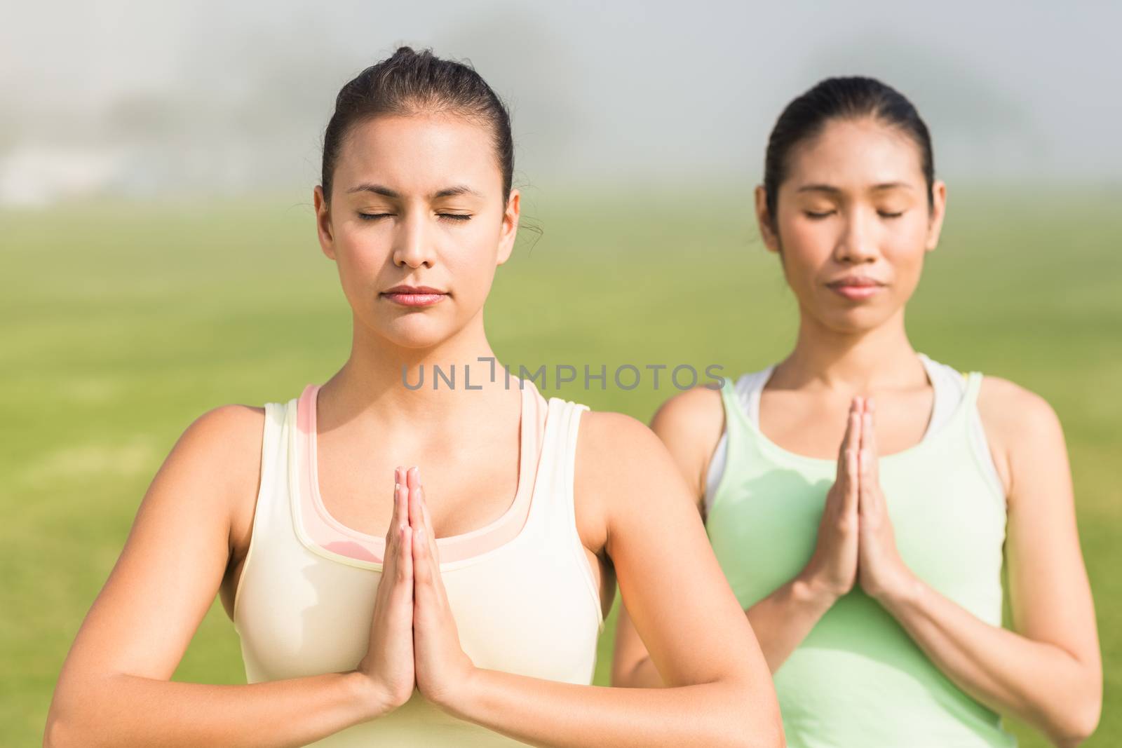 Peaceful sporty women doing yoga in parkland