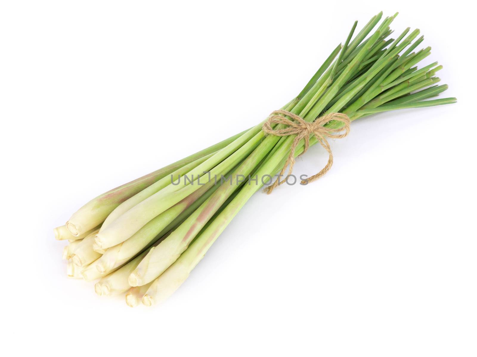 Lemon grass isolated on white background, herb and medical conce by pt.pongsak@gmail.com