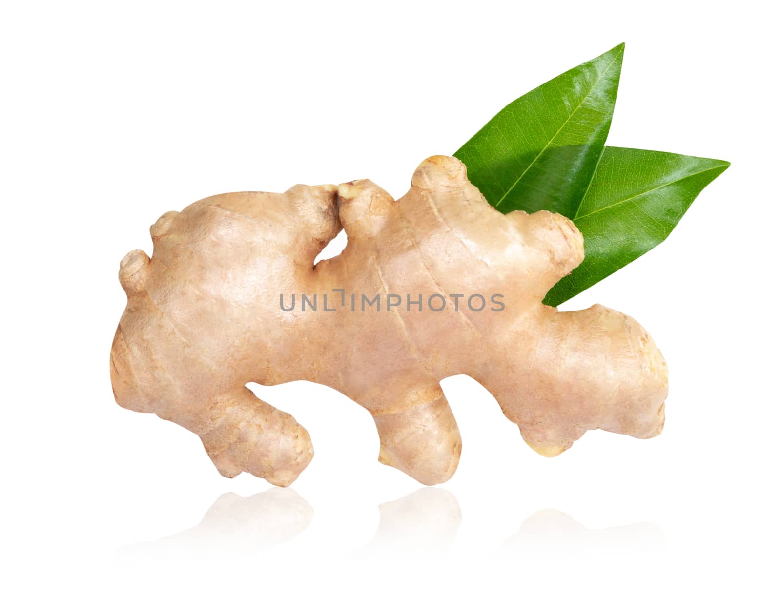 Fresh ginger root with sliced islolated on white background for  by pt.pongsak@gmail.com