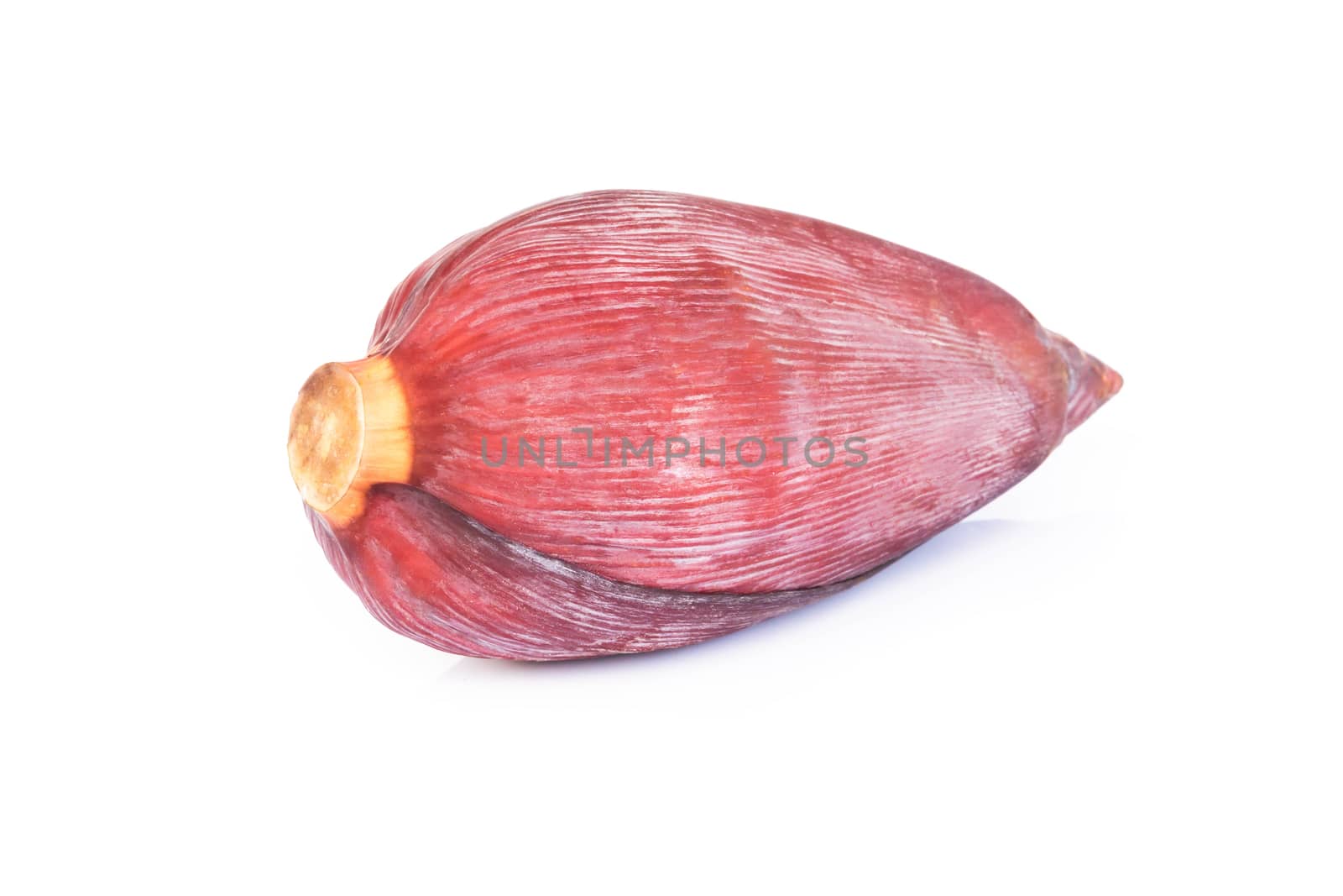 Fresh banana blossom isolated on white background, Healthy conce by pt.pongsak@gmail.com