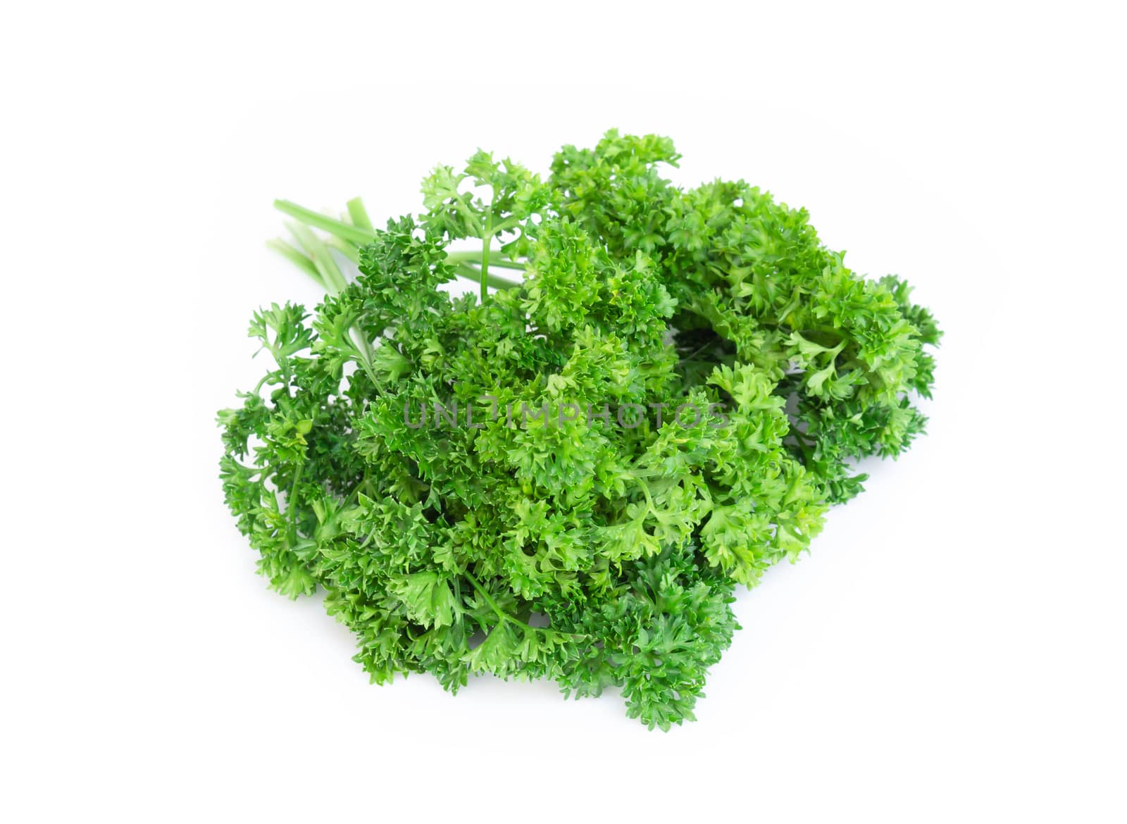 Parsley vegetable isolated on white background