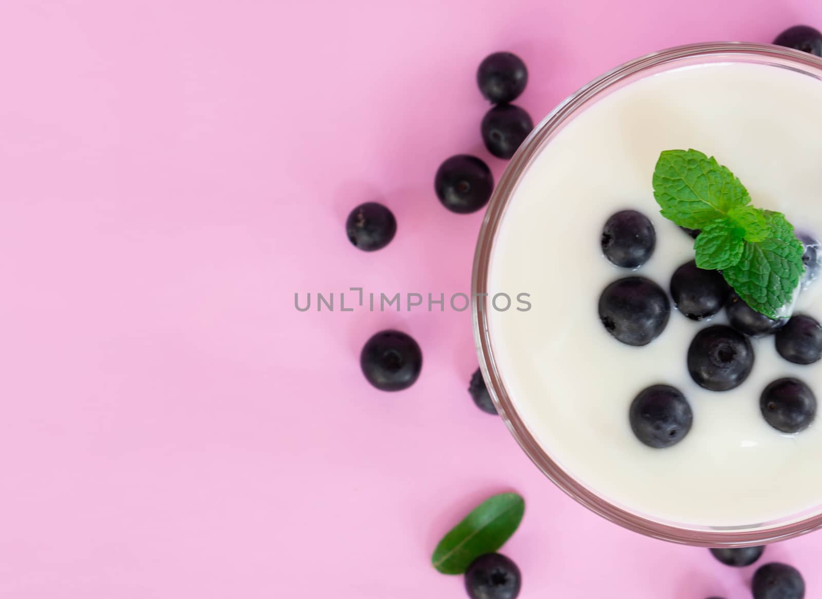 Close up yogurt with fresh blueberries  fruit in glass bowl  on  by pt.pongsak@gmail.com