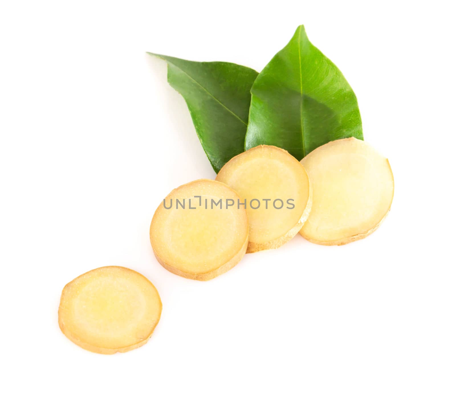 Fresh ginger root sliced on white background for herb and medical product concept