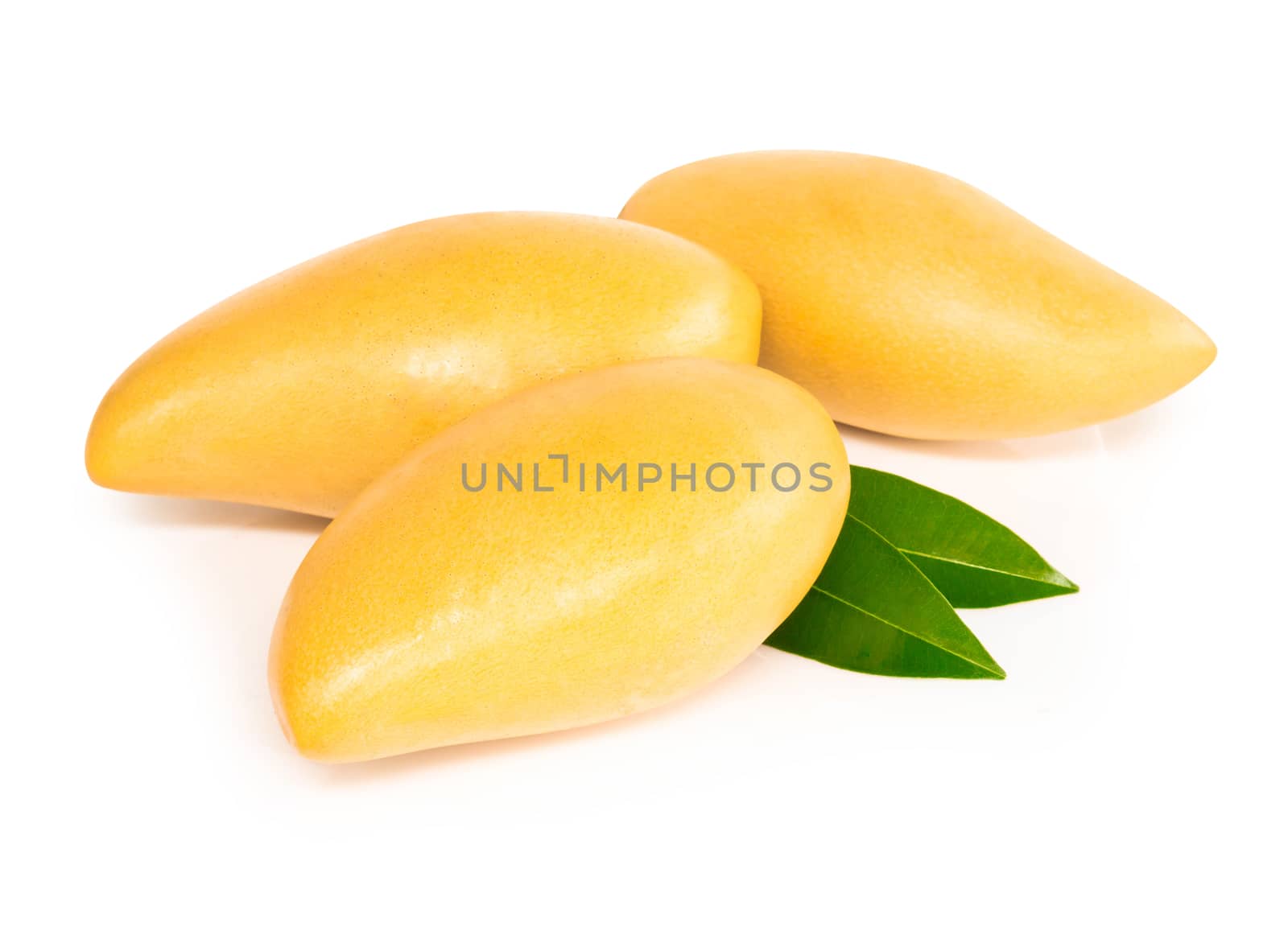 Closeup ripe mango tropical fruit with leaves isolated on white background