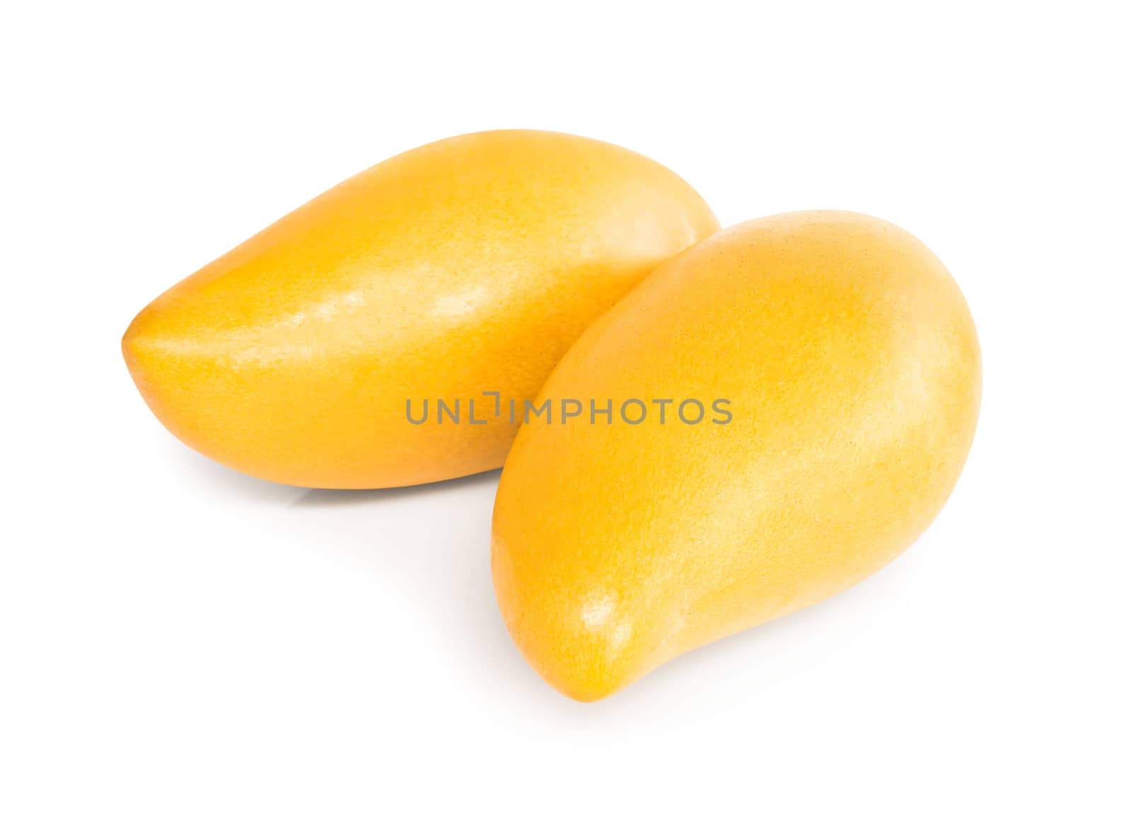 Closeup fresh ripe mango tropical fruit isolated on white background